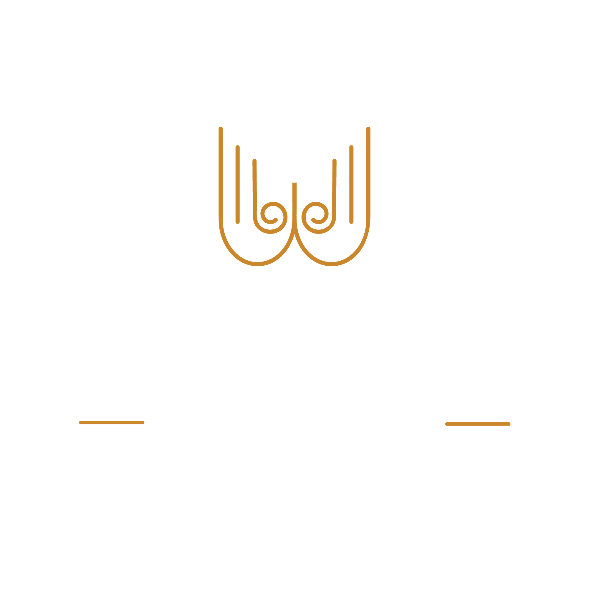Mahalaxmi Infra